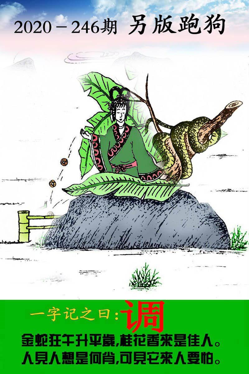 跑狗2.jpg   (鲜明)