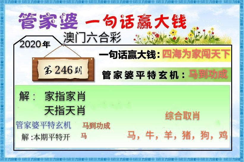 管家婆.jpg   (鲜明)