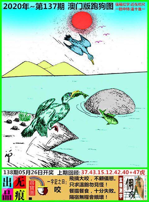 跑狗8.jpg   (鲜明)