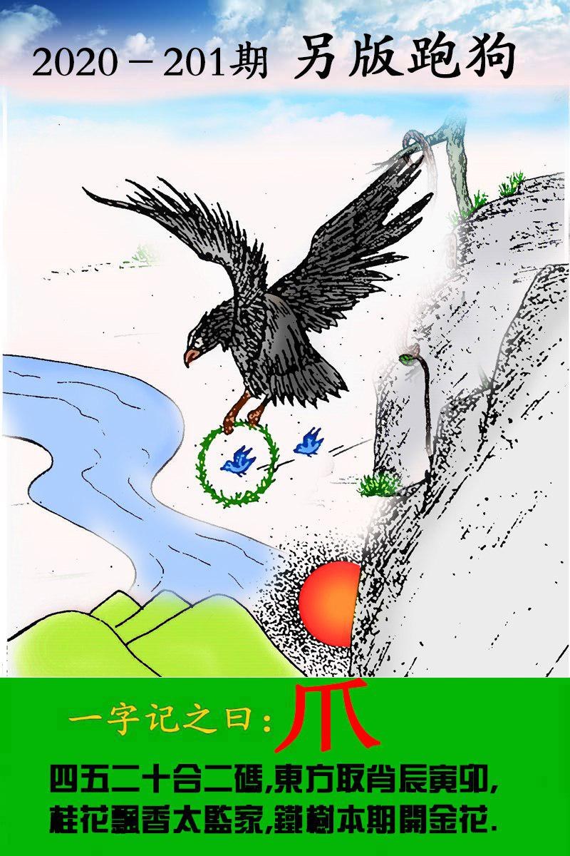 跑狗2.jpg
