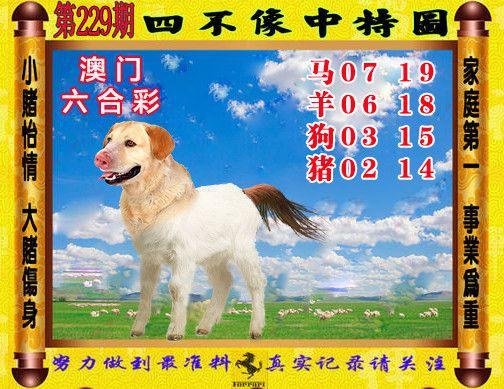 四不像.jpg   (鲜明)