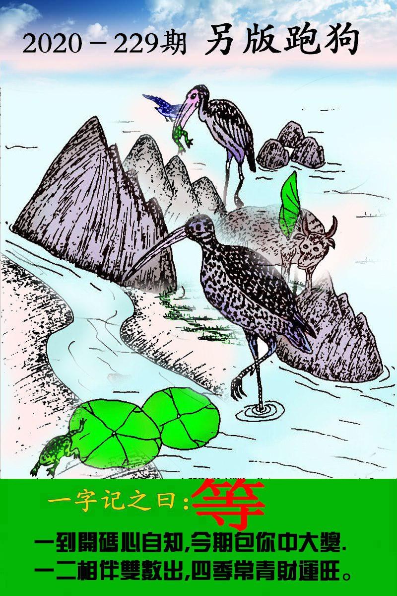 跑狗3.jpg   (鲜明)