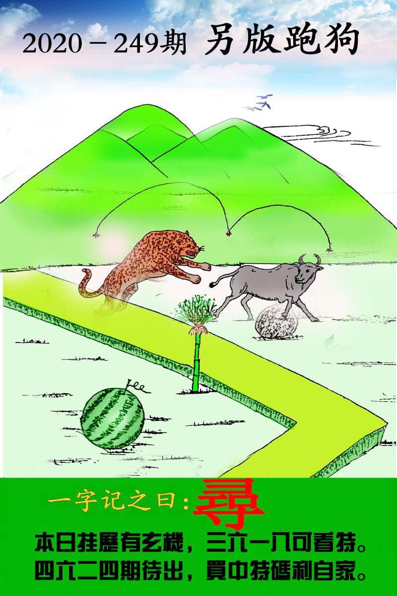 跑狗3.jpg   (鲜明)