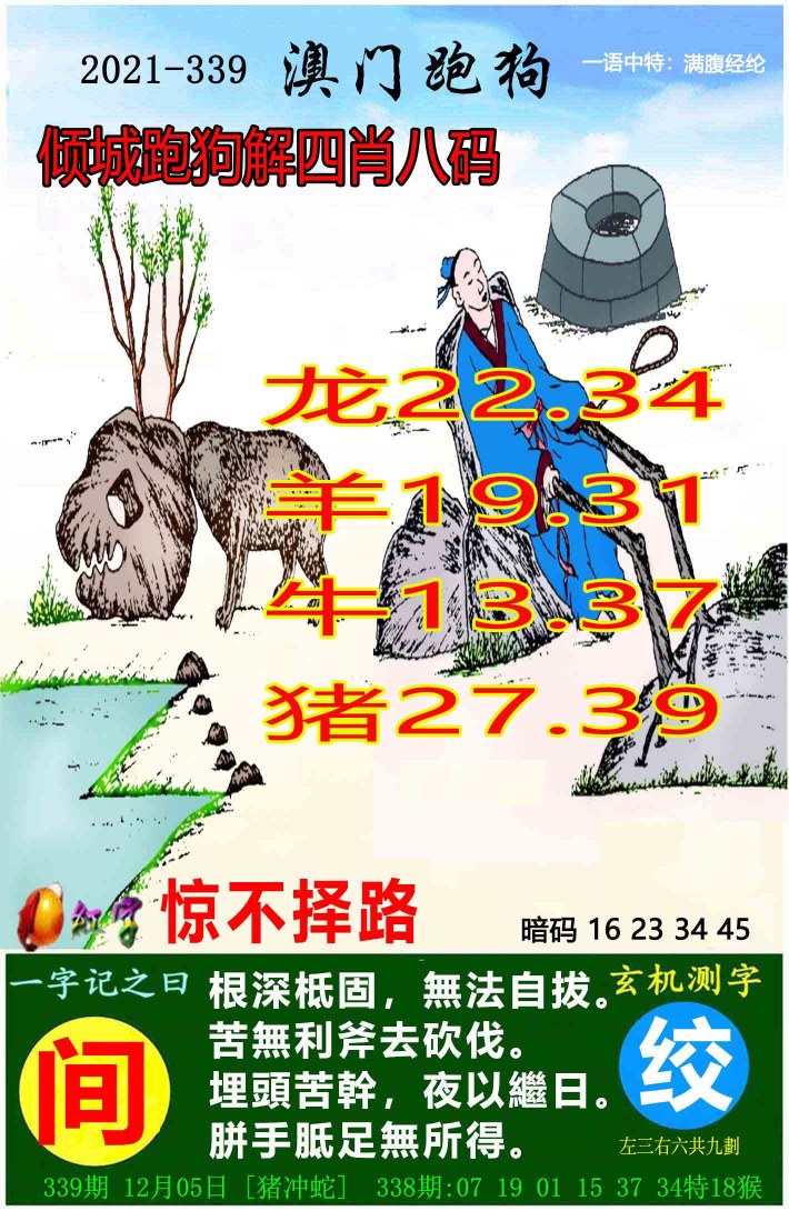 339期澳门资料