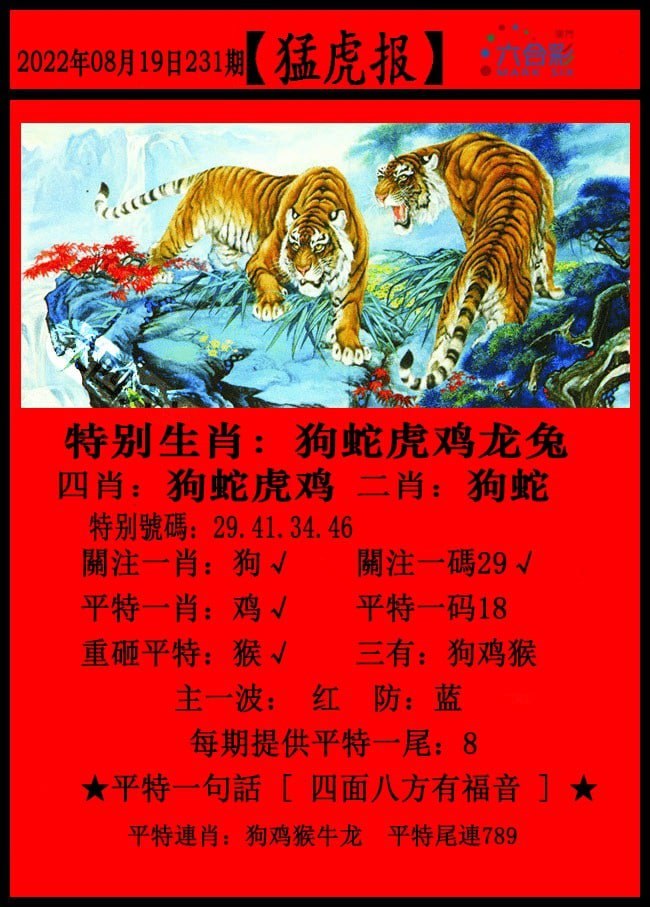 第231期澳门六合资料(点击查看) (辅助功能视图)