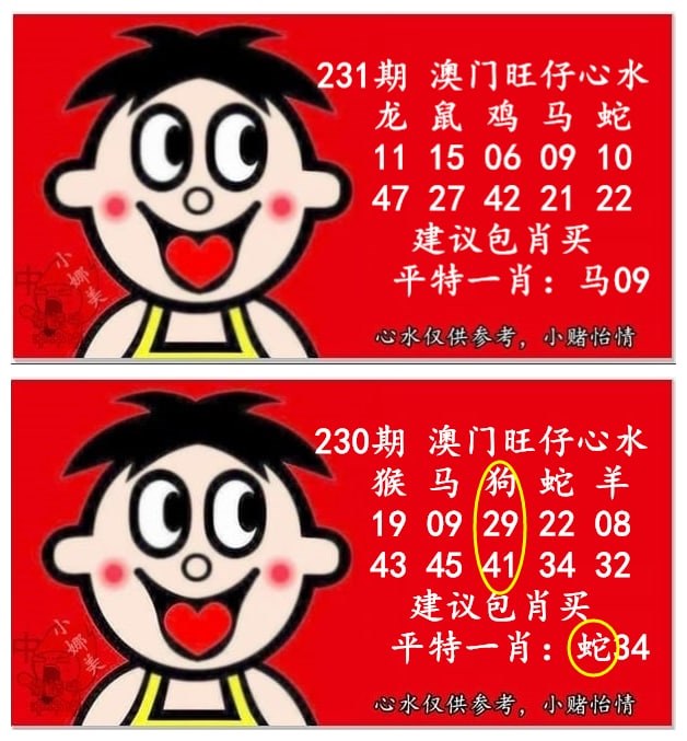 第231期澳门六合资料(点击查看) (辅助功能视图)