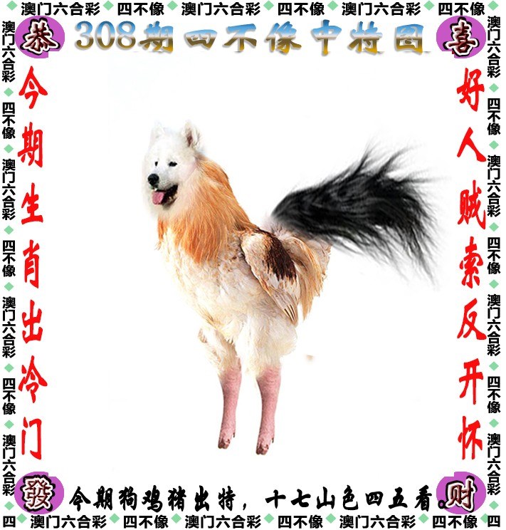 第308期澳门六合资料(点击查看)