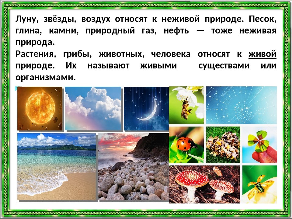 Живое неживое окружающий мир 2. Неживая природа природа. Окружающий мир: неживая природа. Природа бывает Живая и неживая. Живая и неживая природа для дошкольников.