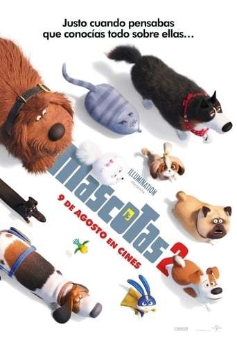 Descargar Mascotas (2019) Pelicula Completa HD