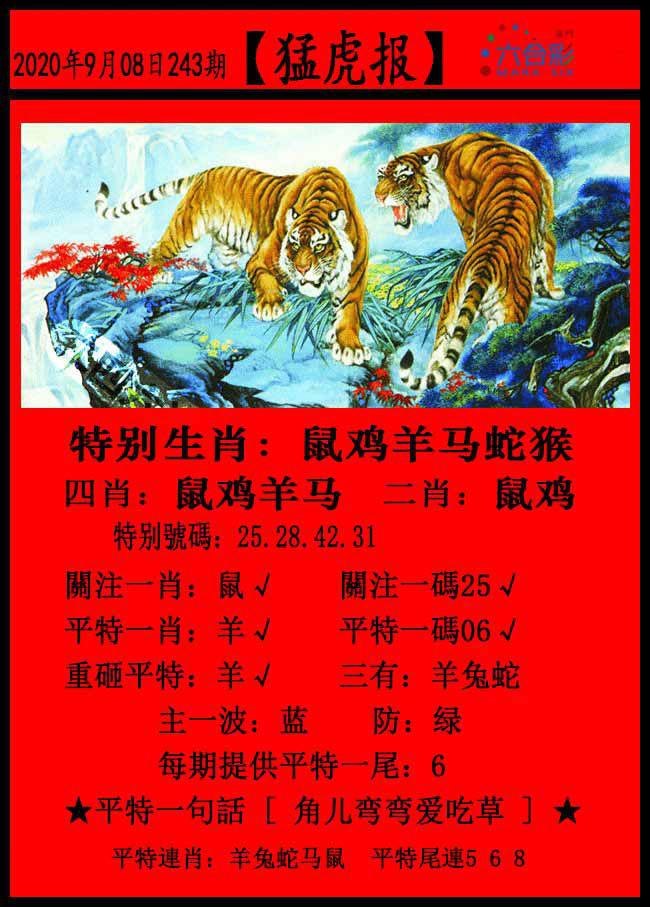 第243期澳门六合资料(点击查看) (辅助功能视图)