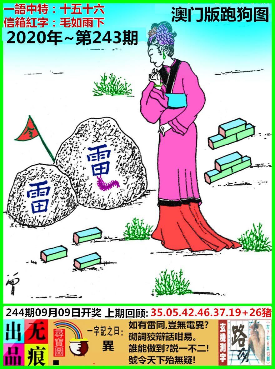 跑狗.jpg   (鲜明)